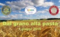 DAL GRANO ALLA PASTA